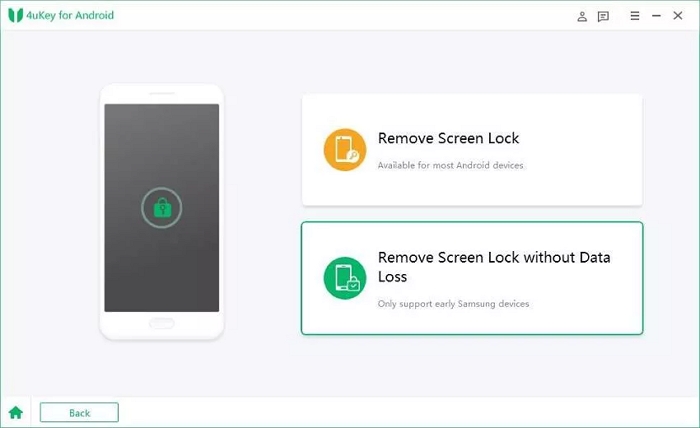 Remove Screen Locks 