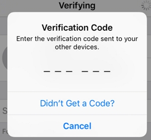 Apple ID verification code 