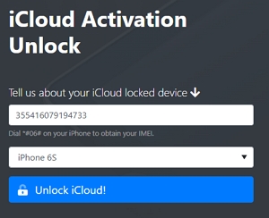 select your device's model and enter the IMEI/Serial Number