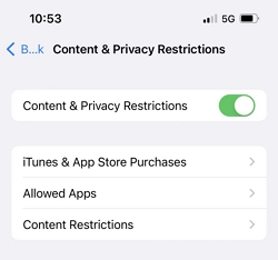 Content  Privacy Restrictions 