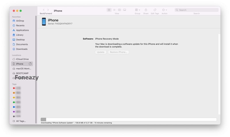 the software is downloading and installing