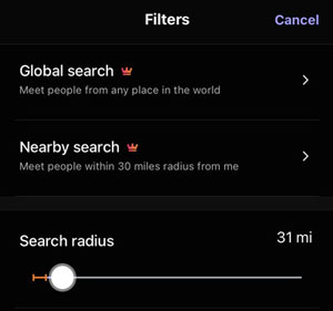 Locate Global Search Option
