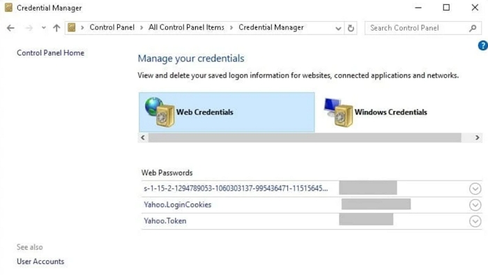 internet explorer autofill password