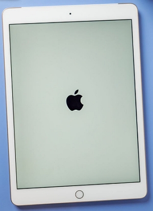 iPad Flashing Apple Logo 