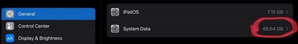 System Data huge on iPad