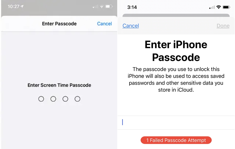 Screen Time Passcode or a Screen Passcode