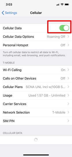 Turn Off or On Cellular Data 