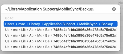 enter the following file path