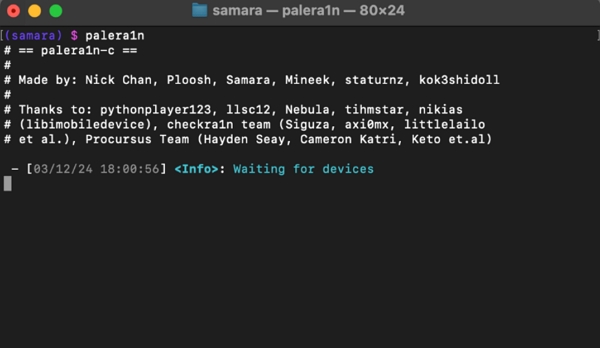 Jailbreaking Your Device Running iPadOS from 15 through 16 Using Palera1n