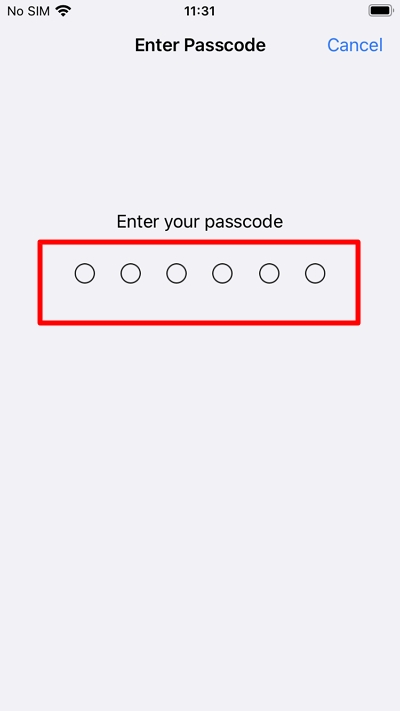 enter the passcode