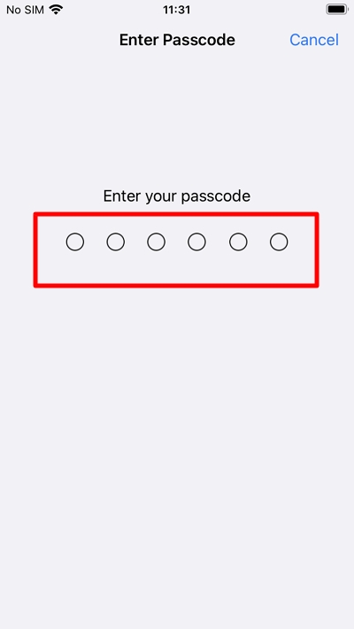 enter the passcode 