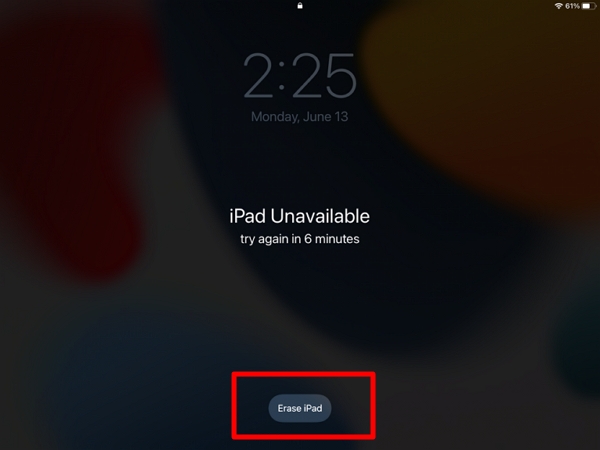 Erase iPad
