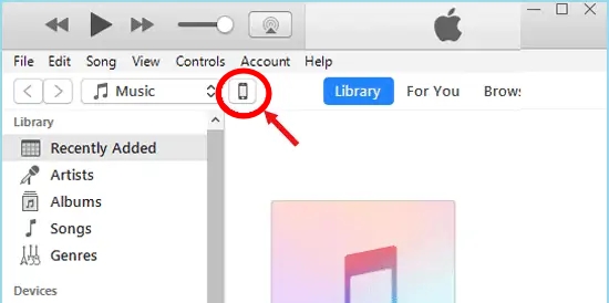 select the iPhone icon in iTunes